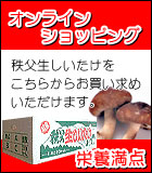 �u�I�����C���V���b�s���O�v�ł́A�h�{���_����������������ʐM�̔��ł��������߂��������܂��B